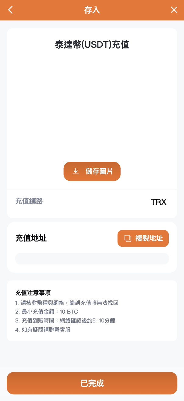 存入充值畫面截圖